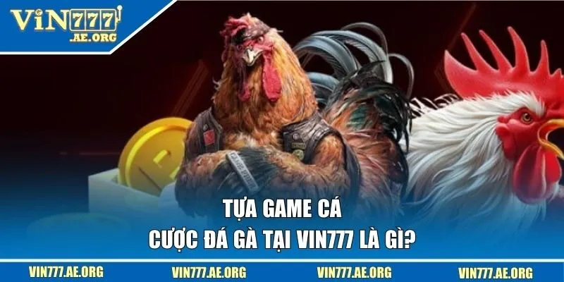 Tựa game cá cược đá gà tại VIN777 là gì? 